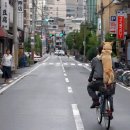 아름다운동행 이미지