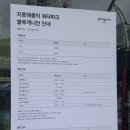 현대그린사우나 | [평창] 휘닉스파크 패키지 이용 후기 (그린동 스카이 스탠다드 룸+블루캐니언+루지랜드+곤돌라)