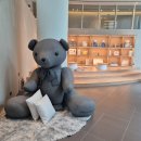 스테이올라 이미지