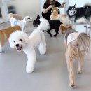 칠곡유치원 이미지