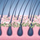 모블리스 이미지