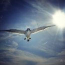 영월초등학교 이미지