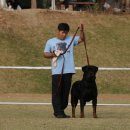 방꼬지길 이미지