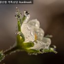 삼화탕 이미지