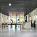 세종전통장류박물관 | 세종 국립어린이박물관 솔직 후기, 6살 아이가 또 가자고 한 실내 체험