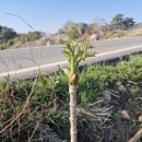 빈이랑은이랑 이미지