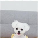 까미랑몽이