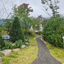 바다냥이네 | 숲에서 만난 바다 카라반 C01 | 내돈내산 10월 이용 후기 | 수영장 노천탕 바베큐