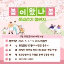 봄이 왔나 봄 이미지