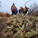 효명목장 이미지