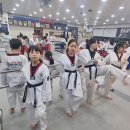 태무강울태권도장 이미지