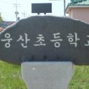 웅산초등학교 이미지