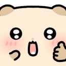 제스트하우스 이미지