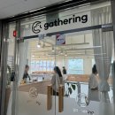 gathering(개더링) | 안산 실내애견카페 추천 깨끗한 전체매트 개더링