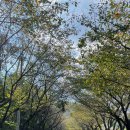 광영그라운드골프장 이미지