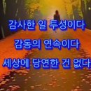 MRI/MRA 검사에 대하여 이미지