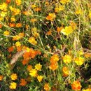 주황농장 이미지