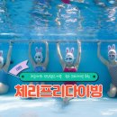 쉽게 배우는 통기타반 | 체리프리다이빙 대전프리다이빙 강습 후기｜처음이어도 편안했던 세종·청주 프리다이빙 추천