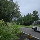 이동면경로식당 | 용인골프장추천 레이크사이드CC 라운드후기