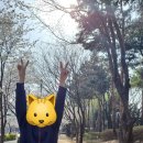 에코공원 이미지