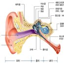 내 귓병은 죄(罪)도 한(恨)도 아니다. 이미지