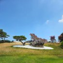 부티프로 | "6월 1부티 여주 YJC골프클럽 라운딩 후기 | 그린스피드 2.9 잔디상태 꿀"