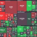 와이지바이오코리아 이미지