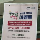 양무리무지개보호작업장 | 경기도담뜰 도래미마켓 다녀왔어요!(4/24~4/25)