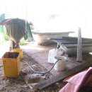 월리농장 이미지