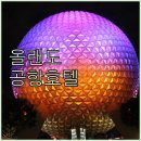 호텔데이즈.A | 올랜도 여행, 공항 호텔 선택이 고민이라면? 생생 후기 대방출!