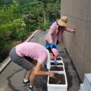 선우정경로당 네이버블로그