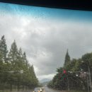 경남세탁소 | 창원코인세탁소 반지동코인세탁소 월드크리닝 창원반지점에서 깨끗하고 빠르게 세탁하기