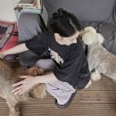 투포캠프 이미지