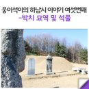 박치 묘역 및 석물 이미지