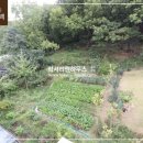 사계절하우스+부동산중개 이미지