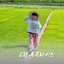 고령 아이와 가볼만한곳, 우곡라이스 정미소 체험 후기