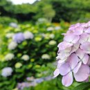 270-3079 | 해금강유람선 거제가볼만한곳 해금강 선상관광 팁과 후기