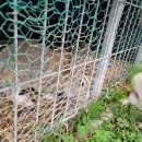 그린나래민박 이미지