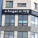 엔젤수족관 - 창원시 마산합포구 상남시장로 37 | 엔젤수족관