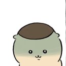윤도