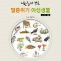 워프게이트 이미지