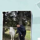 지현목장 | 길치라도 괜찮아 박지현 6화 방송후기☁️