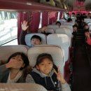 용인대현대태권도 이미지