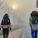 패밀리코스 이미지