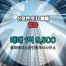 에이스공인중개사사무소 이미지