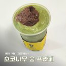 커피나무숲 | 메가커피 히든 메뉴? 메가커피 초코 나무숲 프라페 내돈 내산 후기!