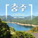 충북 충주 / 충주호를 품은 계명산자연휴양림 산수유 객실 후기