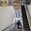 시민공원역 | 인천 시민공원역 맛집 돗가비불쭈꾸미 인천시민공원역점 후기