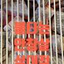 경기도 수원시 권선구 세화로162번길 31 (서둔동) 네이버블로그