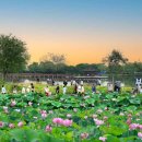 서동연가 이미지